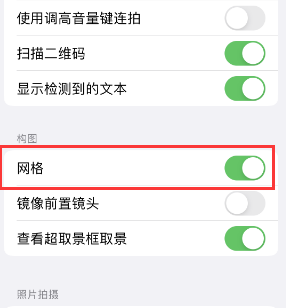 林芝苹果手机维修网点分享iPhone如何开启九宫格构图功能 