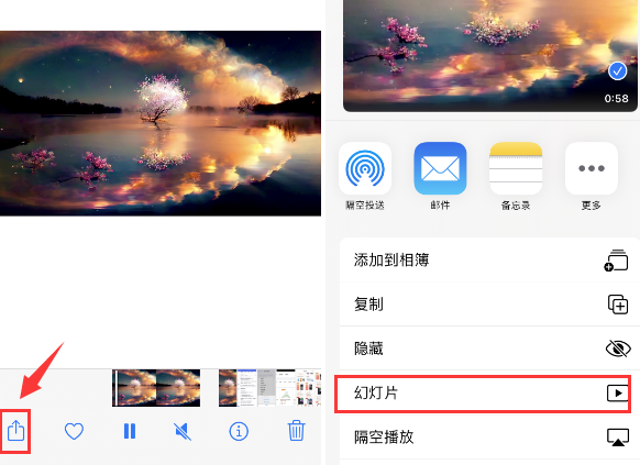 林芝苹果14维修店分享iPhone14相册视频如何循环播放 