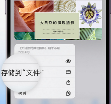 林芝apple维修中心分享iPhone文件应用中存储和找到下载文件