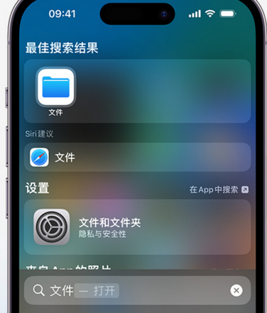 林芝apple维修中心分享iPhone文件应用中存储和找到下载文件 