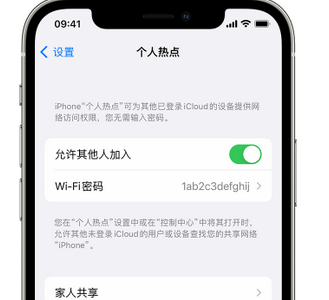 林芝apple服务站点分享iPhone上个人热点丢失了怎么办 