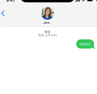 林芝apple维修iPhone上无法正常发送iMessage信息