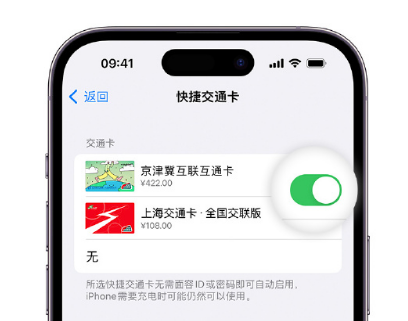 林芝apple维修点分享iPhone上更换Apple Pay快捷交通卡手绘卡面 