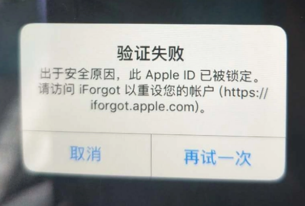 林芝iPhone维修分享iPhone上正常登录或使用AppleID怎么办 