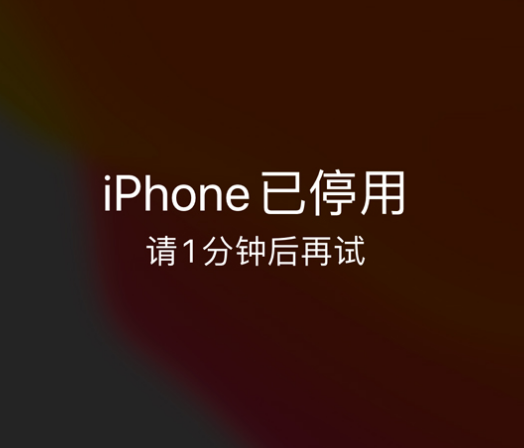 林芝苹果手机维修分享:iPhone 显示“不可用”或“已停用”怎么办？还能保留数据吗？ 