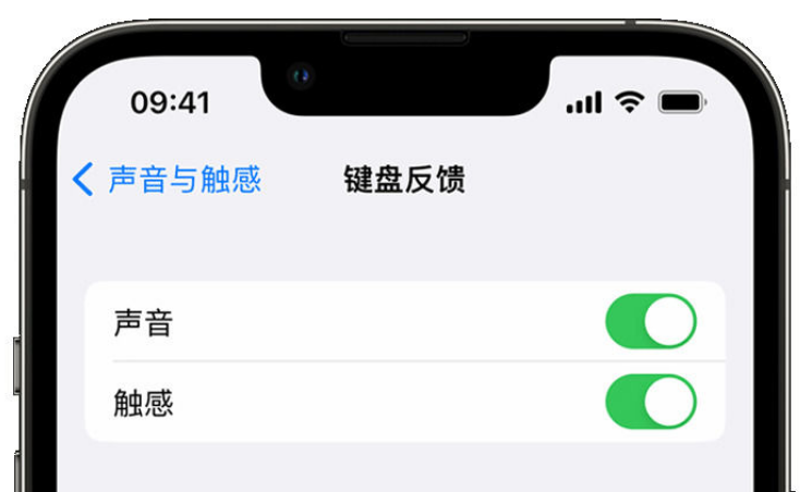 林芝苹果手机维修分享iPhone 14触感键盘使用方法 