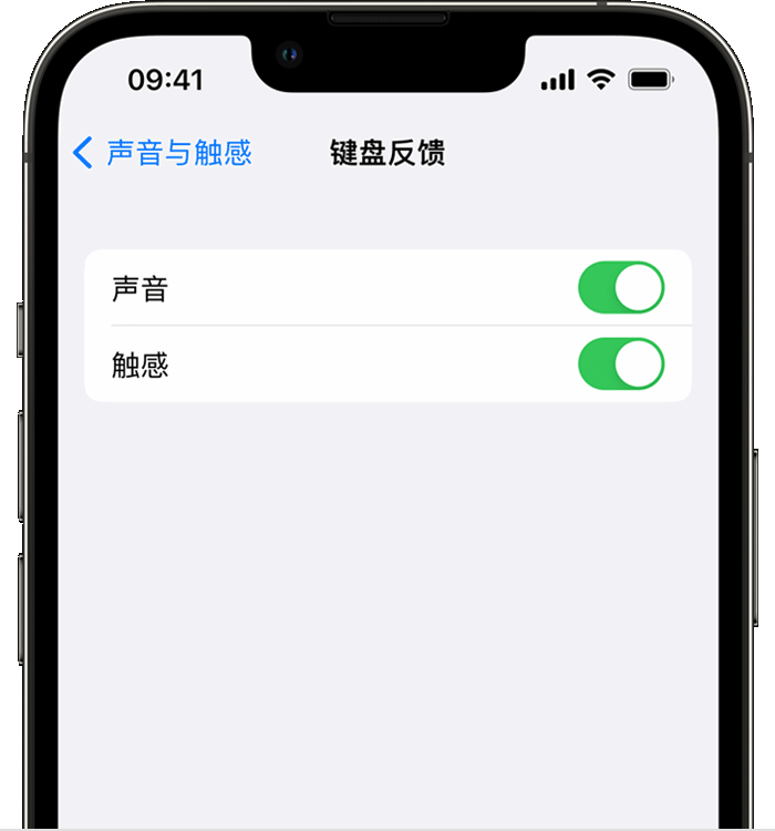 林芝苹果14维修店分享如何在 iPhone 14 机型中使用触感键盘 