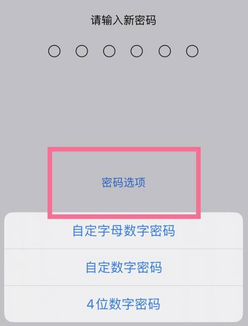 林芝苹果14维修分享iPhone 14plus设置密码的方法 