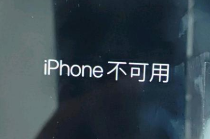 林芝苹果服务网点分享锁屏界面显示“iPhone 不可用”如何解决 