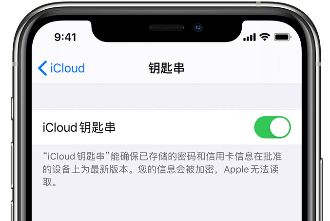 林芝苹果手机维修分享在 iPhone 上开启 iCloud 钥匙串之后会储存哪些信息 