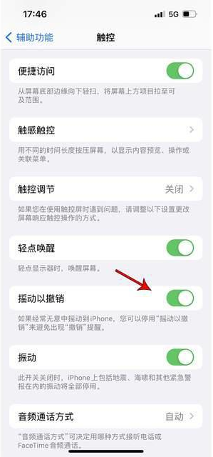 林芝苹果手机维修分享iPhone手机如何设置摇一摇删除文字 