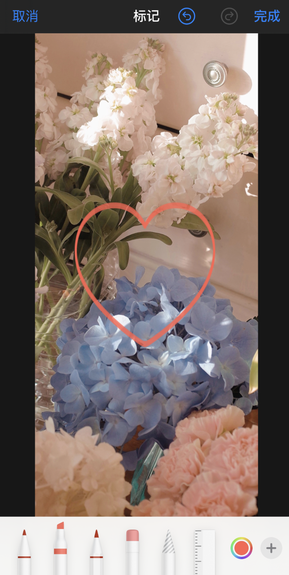 林芝苹果手机维修分享iPhone 12 如何在照片上涂鸦 