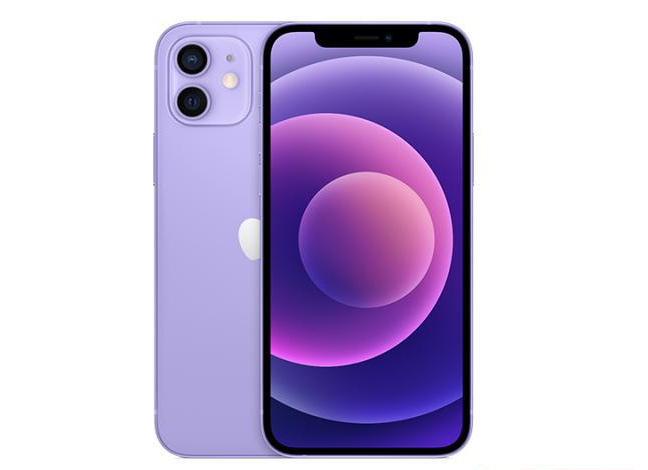 林芝苹果手机维修分享现阶段要不要入手紫色版iPhone12 
