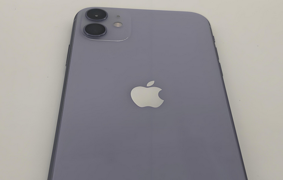 林芝苹果11系统维修分享iPhone11手机系统崩溃无法开机如何解决